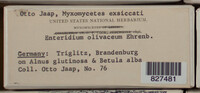Image Associated With the Occurence